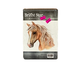 Bright Star drawing book, A5 size, horse design