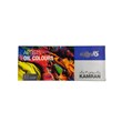 Kamran oil paint, NewOC model, volume 22 ml, pack of 12