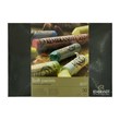 30 Rembrandt chalk pastels